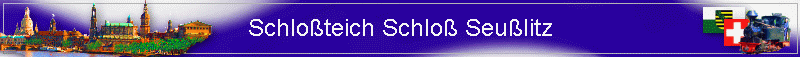 Schloteich Schlo Seulitz