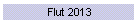 Flut 2013