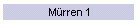 Mrren 1
