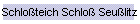 Schloteich Schlo Seulitz